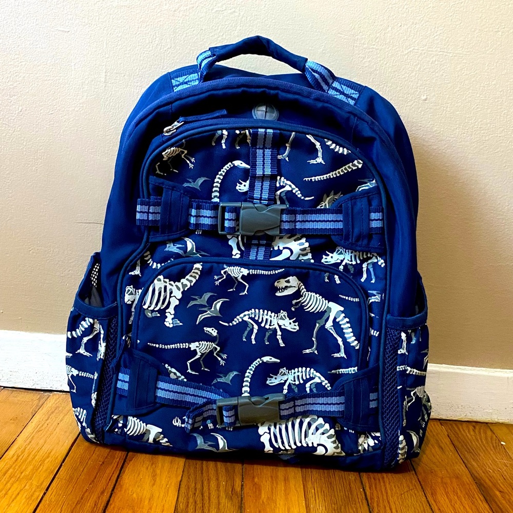 PBK Pottery Barn Kids Dinosaur Fossil Glow Backpack